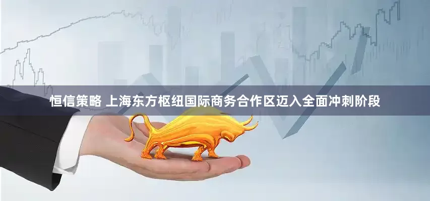 恒信策略 上海东方枢纽国际商务合作区迈入全面冲刺阶段