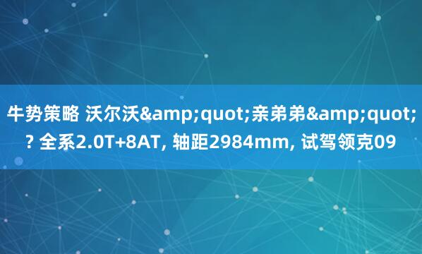 牛势策略 沃尔沃&quot;亲弟弟&quot;? 全系2.0T+8AT, 轴距2984mm, 试驾领克09